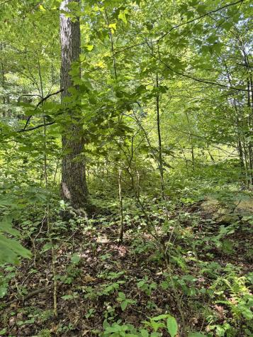 0 Woodview Drive Bruceton Mills WV 26525