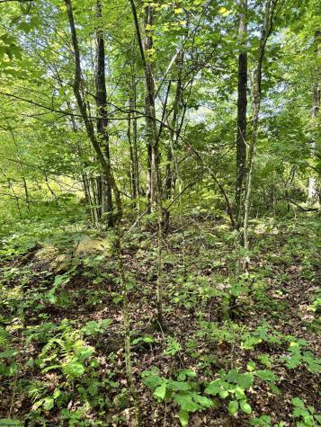 0 Woodview Drive Bruceton Mills WV 26525
