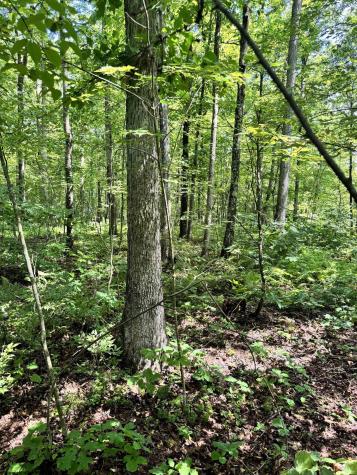 0 Woodview Drive Bruceton Mills WV 26525