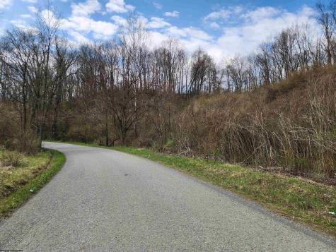 TBD Buffalo Creek Road Lost Creek WV 26385