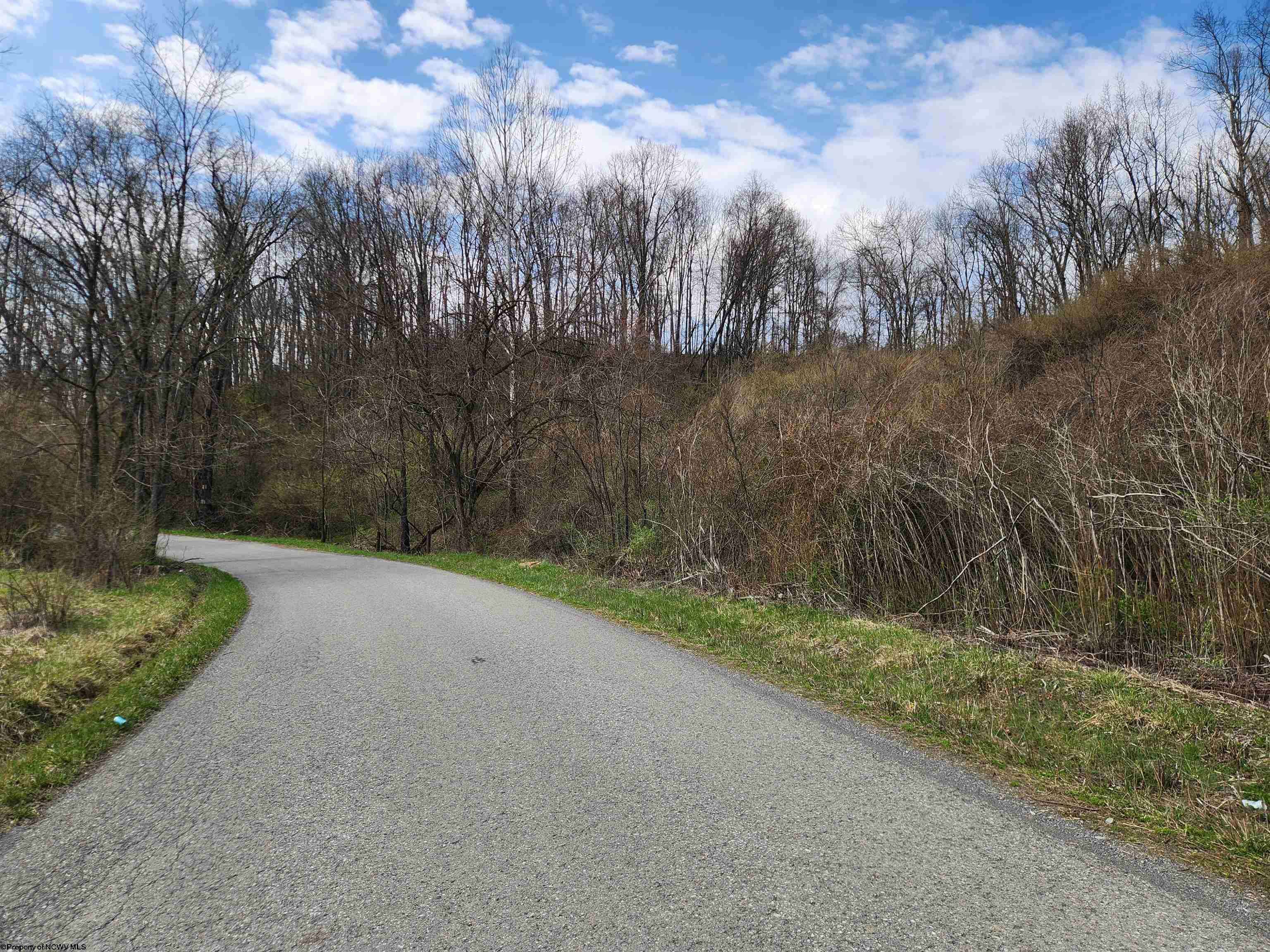 0 Buffalo Creek Road Lost Creek WV 26385