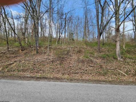 0 Buffalo Creek Road Lost Creek WV 26385