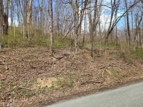 0 Buffalo Creek Road Lost Creek WV 26385