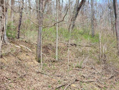 0 Buffalo Creek Road Lost Creek WV 26385