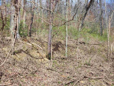 0 Buffalo Creek Road Lost Creek WV 26385
