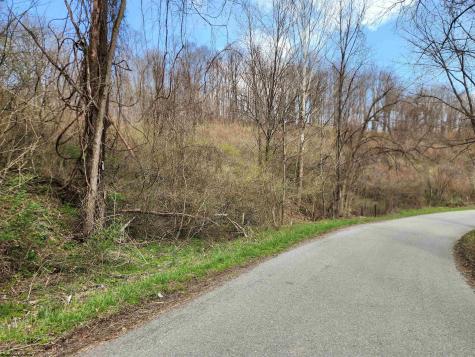 0 Buffalo Creek Road Lost Creek WV 26385