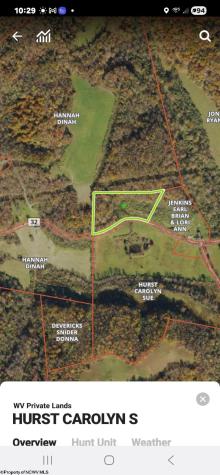TBD Buffalo Creek Road Lost Creek WV 26385
