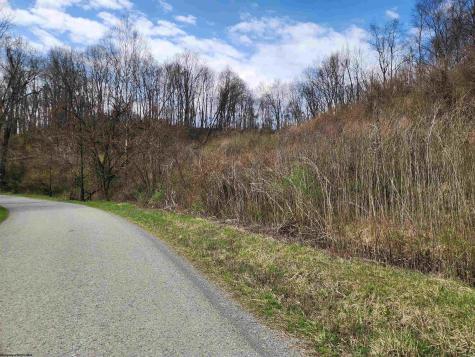 TBD Buffalo Creek Road Lost Creek WV 26385