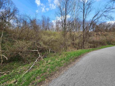 0 Buffalo Creek Road Lost Creek WV 26385