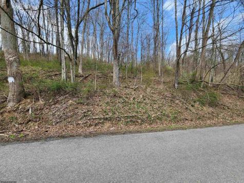 0 Buffalo Creek Road Lost Creek WV 26385