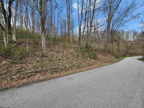 0 Buffalo Creek Road Lost Creek WV 26385