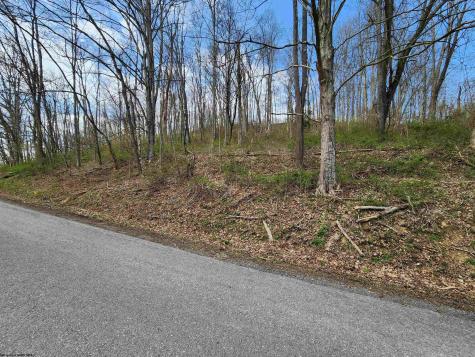 0 Buffalo Creek Road Lost Creek WV 26385