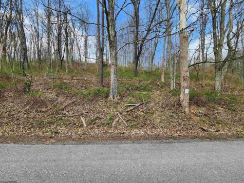 0 Buffalo Creek Road Lost Creek WV 26385