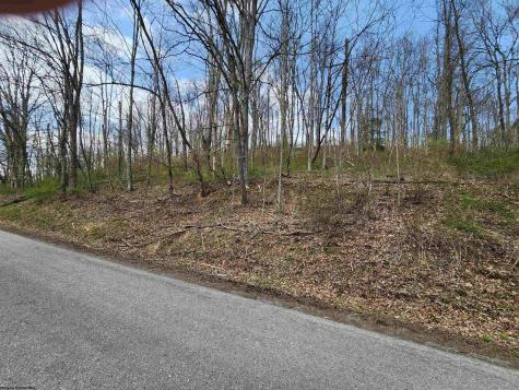 0 Buffalo Creek Road Lost Creek WV 26385