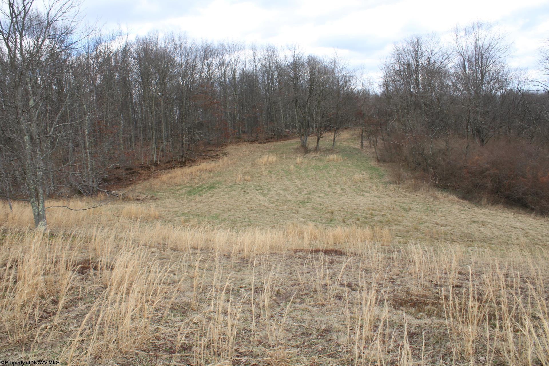 11 Cascade Ridge Masontown WV 26542