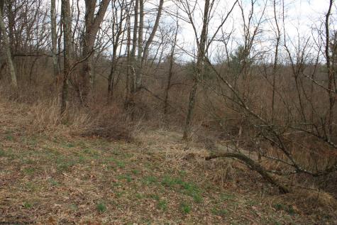 11 Cascade Ridge Masontown WV 26542