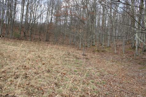 11 Cascade Ridge Masontown WV 26542