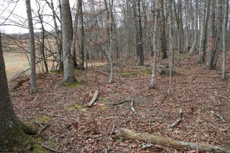 11 Cascade Ridge Masontown WV 26542