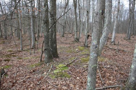 11 Cascade Ridge Masontown WV 26542
