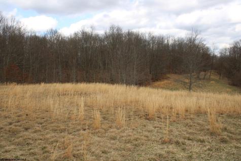 11 Cascade Ridge Masontown WV 26542