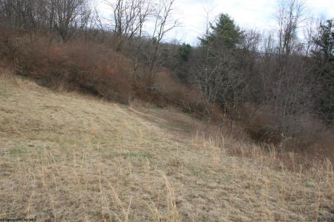 11 Cascade Ridge Masontown WV 26542