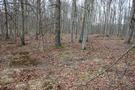 Lot 11 Cascade Ridge Masontown WV 26542