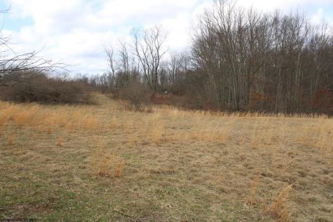 11 Cascade Ridge Masontown WV 26542