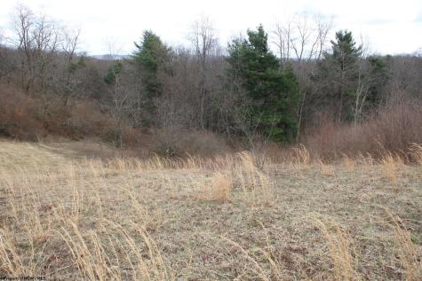 11 Cascade Ridge Masontown WV 26542