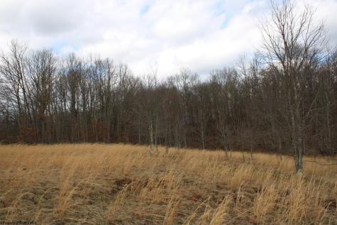 11 Cascade Ridge Masontown WV 26542