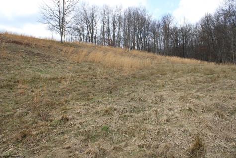 11 Cascade Ridge Masontown WV 26542