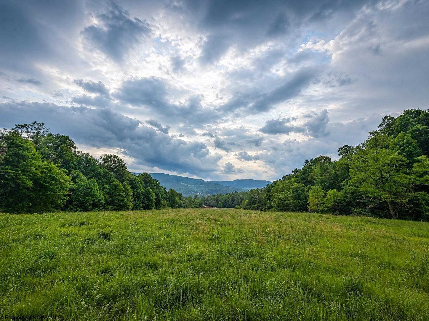 11 Iron Horse Lane Dryfork WV 26263