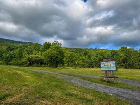 11 Iron Horse Lane Dryfork WV 26263