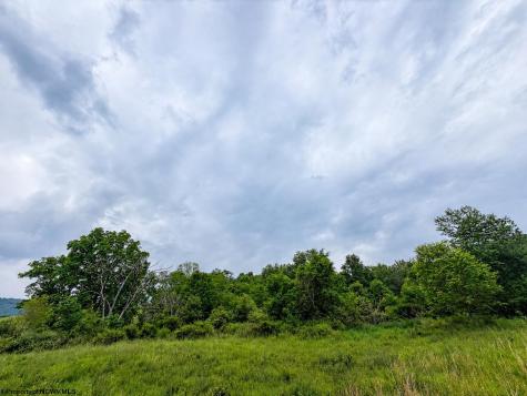 11 Iron Horse Lane Dryfork WV 26263