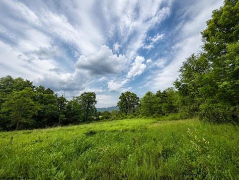 11 Iron Horse Lane Dryfork WV 26263