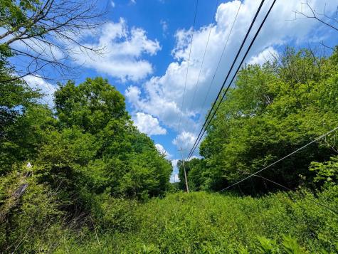 11 Iron Horse Lane Dryfork WV 26263