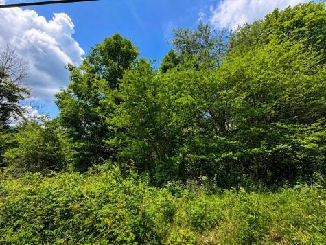 11 Iron Horse Lane Dryfork WV 26263