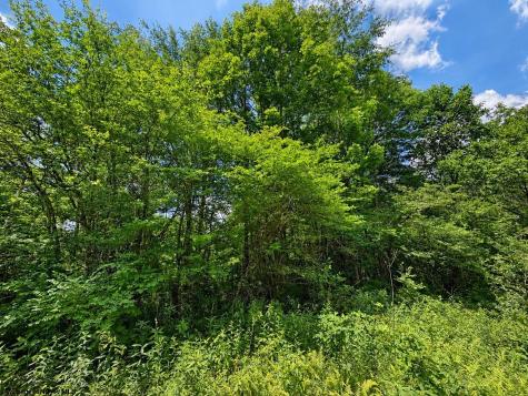 11 Iron Horse Lane Dryfork WV 26263