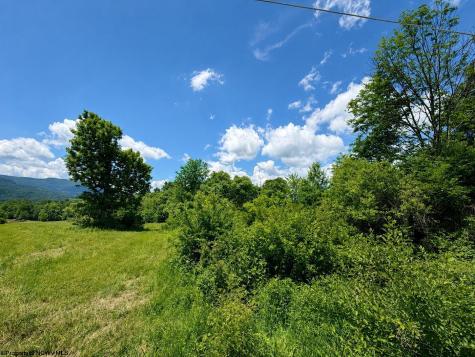 11 Iron Horse Lane Dryfork WV 26263