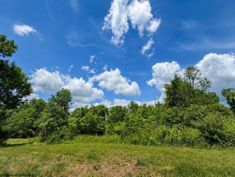 11 Iron Horse Lane Dryfork WV 26263