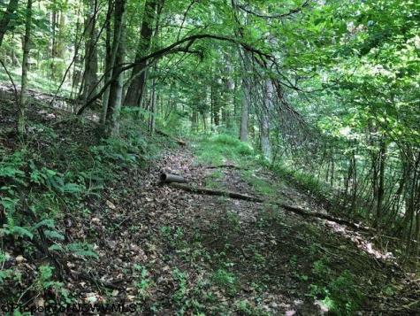 0 Harpertown Road Elkins WV 26241