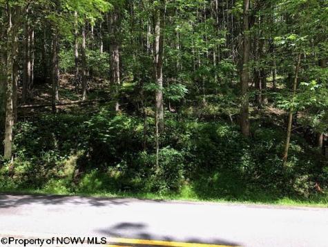 0 Harpertown Road Elkins WV 26241