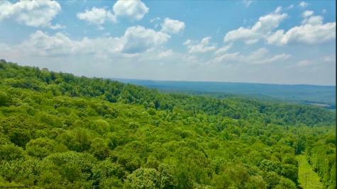 4967 Rich Mountain Road Mabie WV 26278