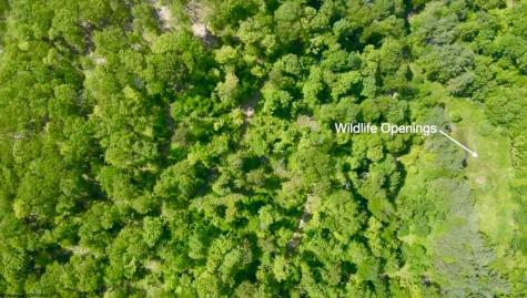4967 Rich Mountain Road Mabie WV 26278