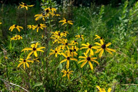 0 N Preston Highway Bruceton Mills WV 26525