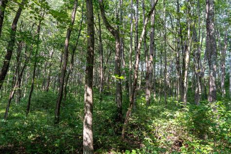 0 N Preston Highway Bruceton Mills WV 26525