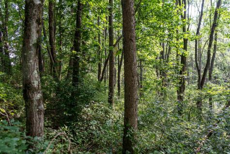 0 N Preston Highway Bruceton Mills WV 26525