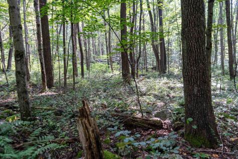 0 N Preston Highway Bruceton Mills WV 26525