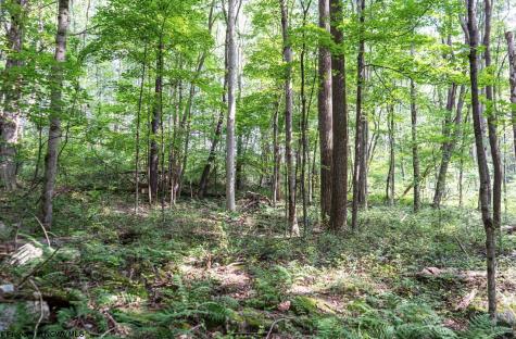 0 N Preston Highway Bruceton Mills WV 26525