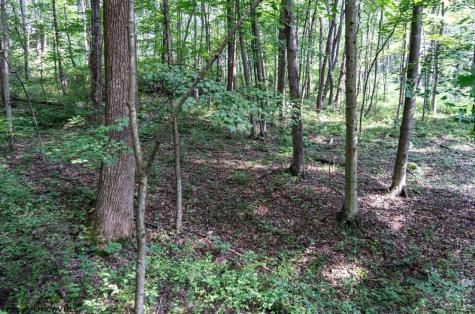 0 N Preston Highway Bruceton Mills WV 26525