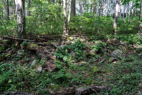 0 N Preston Highway Bruceton Mills WV 26525